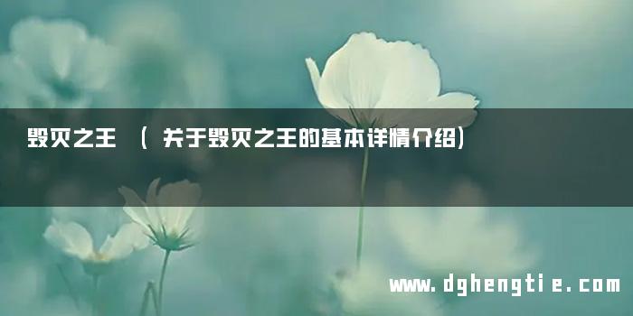 毁灭之王 (关于毁灭之王的基本详情介绍)